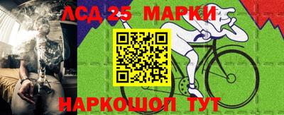 гидропоника Пенза