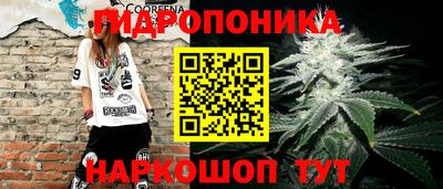 ПСИЛОЦИБИНОВЫЕ ГРИБЫ Первоуральск