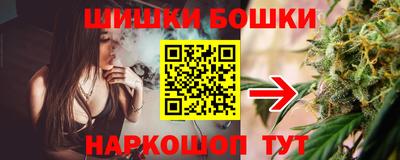 гидропоника Пенза