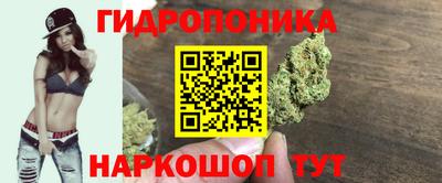 гидропоника Пенза