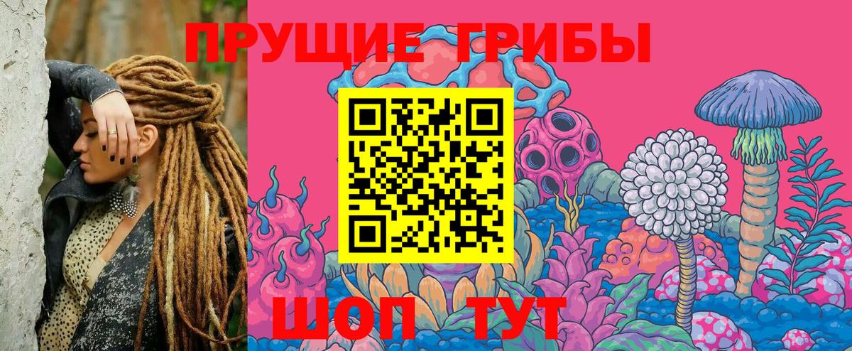 Псилоцибиновые грибы Cubensis  Галлюциногенные грибы Magic Shrooms  Тимашёвск  Вход с VPN 