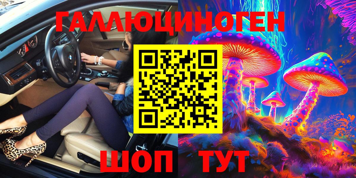 Псилоцибиновые грибы Cubensis Тимашёвск